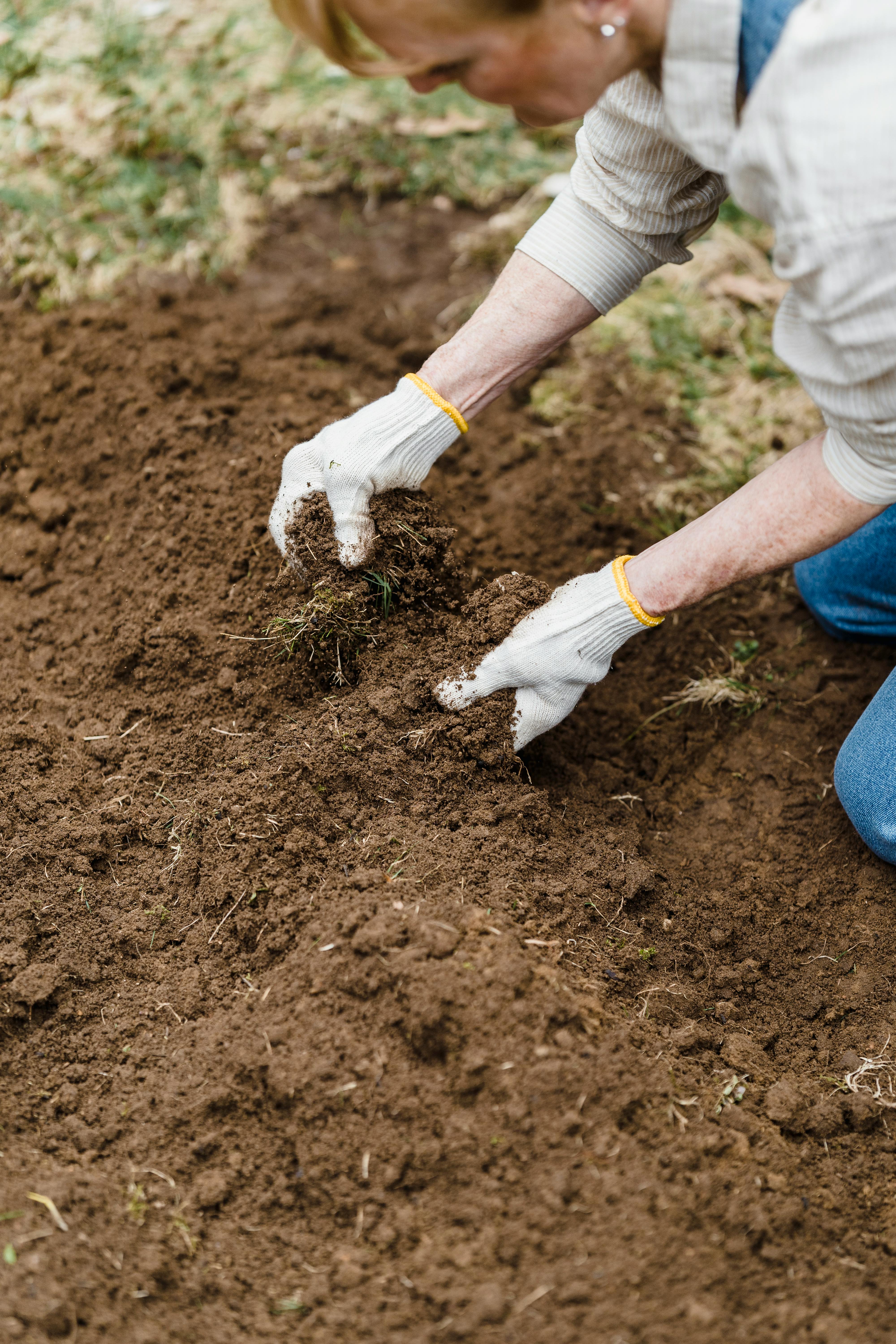 PFAS en bodemkwaliteit